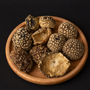 Royal Fly Agaric (Amanita Regalis)