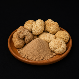 Lion’s Mane (Hericium Erinaceus) – Fruit Body Powder