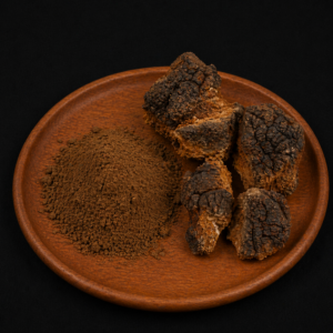 Wild Chaga (Inonotus Obliquus) – Fine Powder